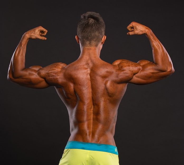 5 Back Workouts For Mass Musclemesmerizer